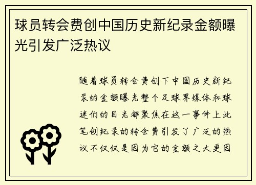 球员转会费创中国历史新纪录金额曝光引发广泛热议
