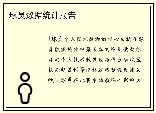 球员数据统计报告