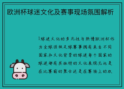 欧洲杯球迷文化及赛事现场氛围解析